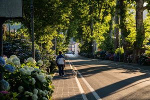 Nuove strategie per un futuro sostenibile: il ruolo delle città verdi